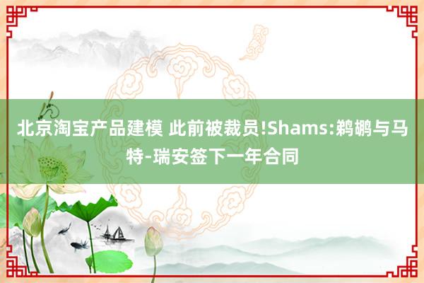 北京淘宝产品建模 此前被裁员!Shams:鹈鹕与马特-瑞安签下一年合同